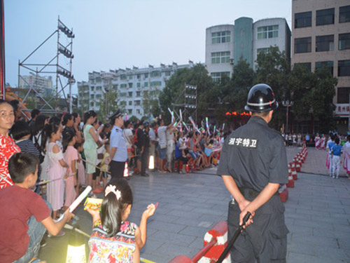 金苹果周年庆典安保
