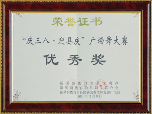 广场舞大赛优秀奖