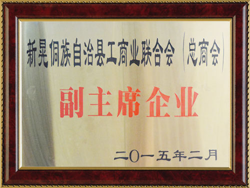 副主席企业